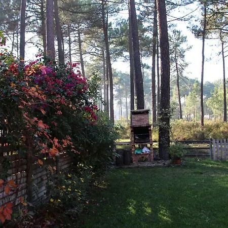 Big For Six With Garden Appartamento